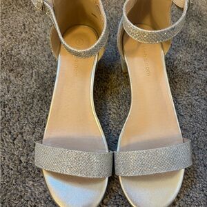 Hamilton Shimmering Silver Heels